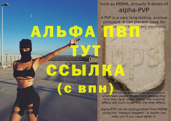 сатива Беломорск