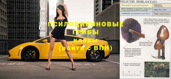 сатива Беломорск