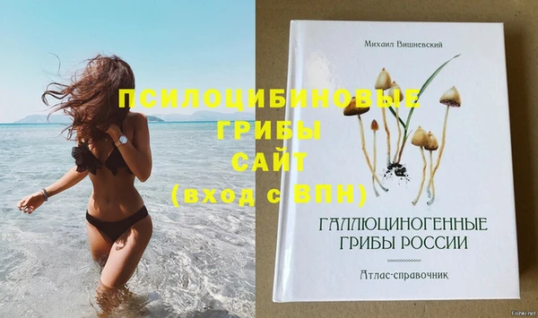 стаф Белоозёрский
