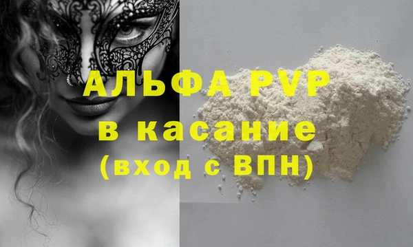 сатива Беломорск