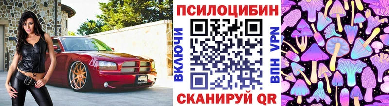 Псилоцибиновые грибы ЛСД  Нестеровская 